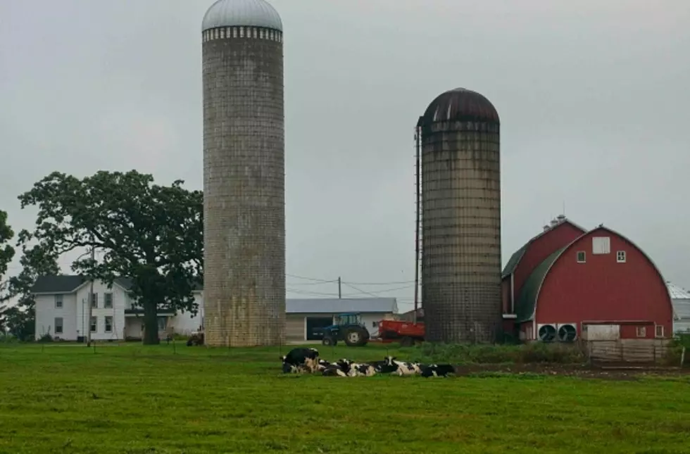 “Right To Farm Law” Battle In Western New York
