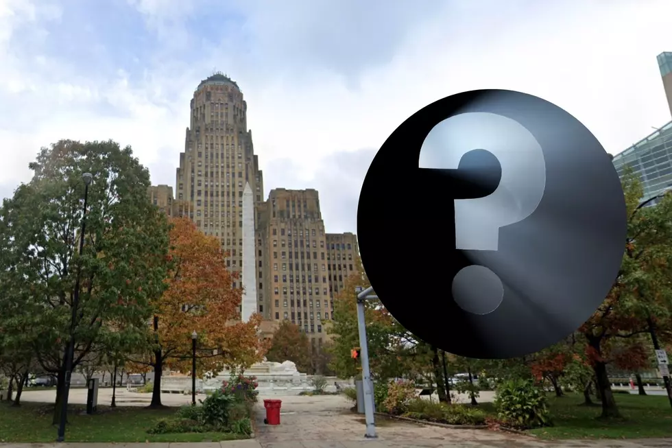 Who’s in the Race To Be Buffalo’s Next Mayor?