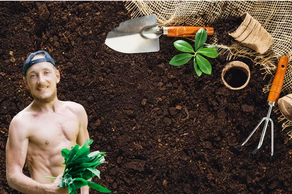 Top Places To Garden Naked In New York State