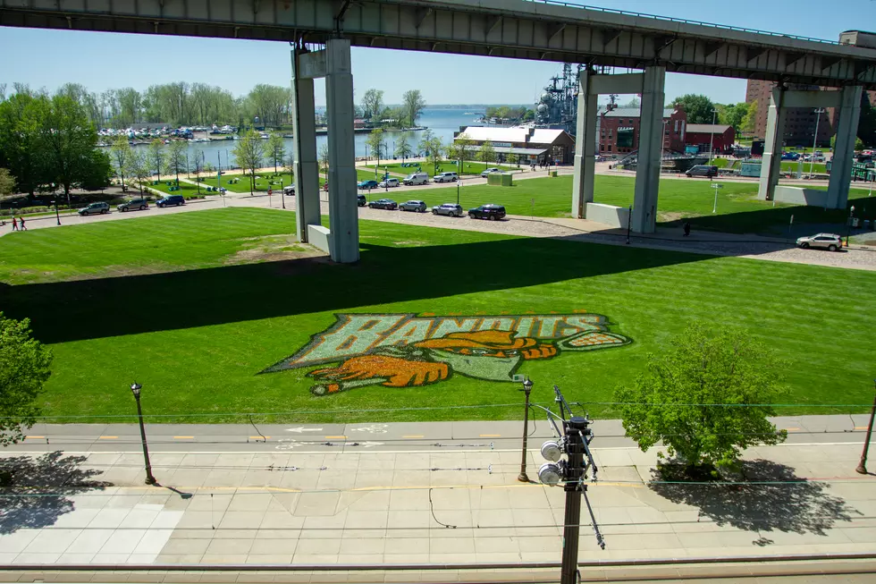 Banditland Is Getting Ready To Take Over Downtown Buffalo