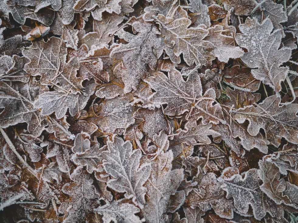 Frost Advisory Issued For Western New York